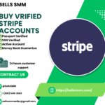 Buy Verified Stripe Accounts