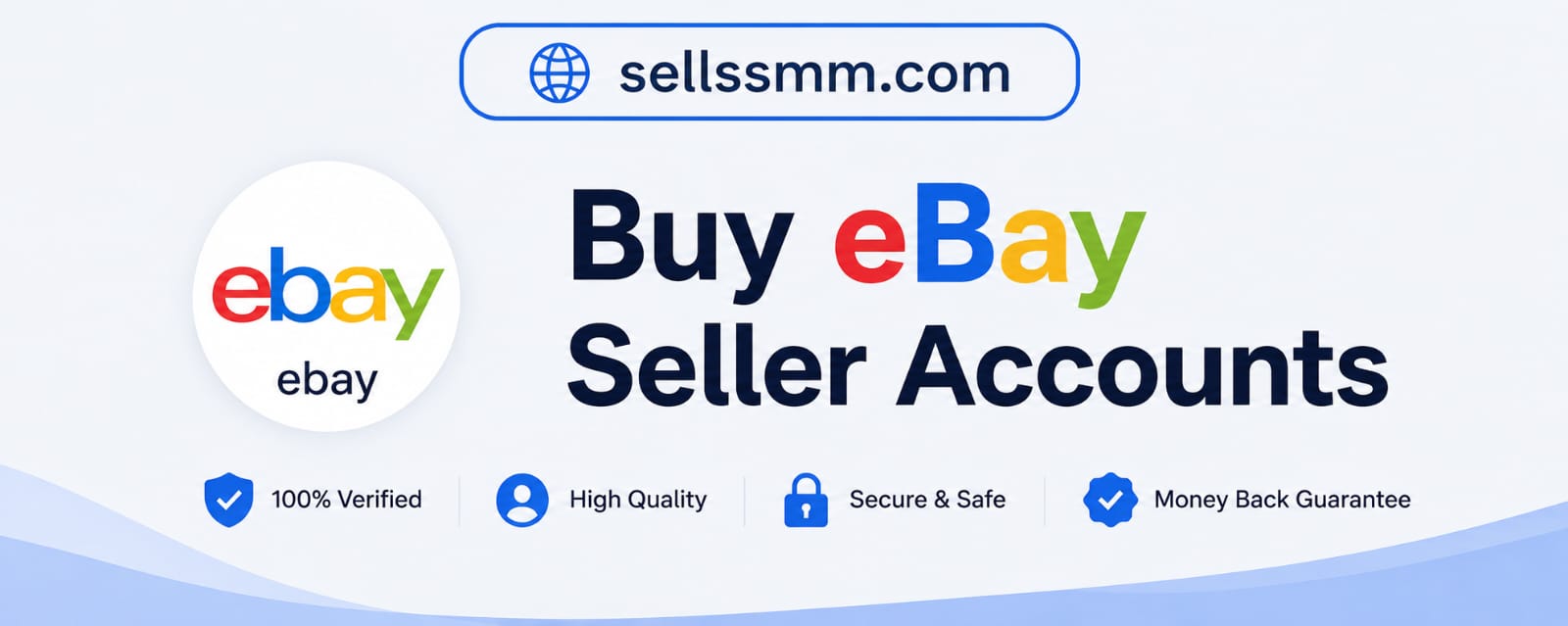 Buy eBay Seller Accounts